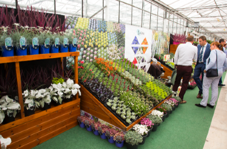 Retailers, don't miss Four Oaks Trade Show as it celebrates 50 years <a href="/FOTS50/">Four Oaks Trade Show 2022</a> tgcmc.newsweaver.co.uk/gtnxtra/sh82fn…