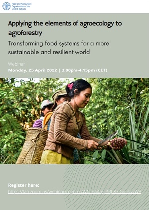 TheLandAlliance's tweet photo. 📣 Happening today | 15:00 CET

💻 Webinar > Applying the elements of agroecology to agroforestry: Transforming food systems for a more sustainable and resilient world

Join us ➡️ : https://t.co/dJVrrO3DJS

@FAOForestry @CIFOR @RECOFTC @KEFRIHQ @theGEF @CATIEOficial https://t.co/prFS7Zk0xm