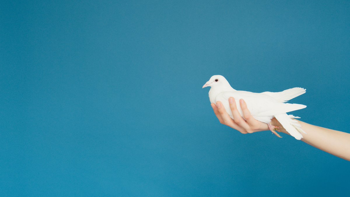 EU_Humanists's tweet photo. The importance of international #cooperation, the importance of collective attention and action, the importance of multilateralism and diplomacy for #peace, those are especially urging matters in the current times of #war in #Europe. 

https://t.co/YMr6fICAwx https://t.co/xEEEgaI8aI