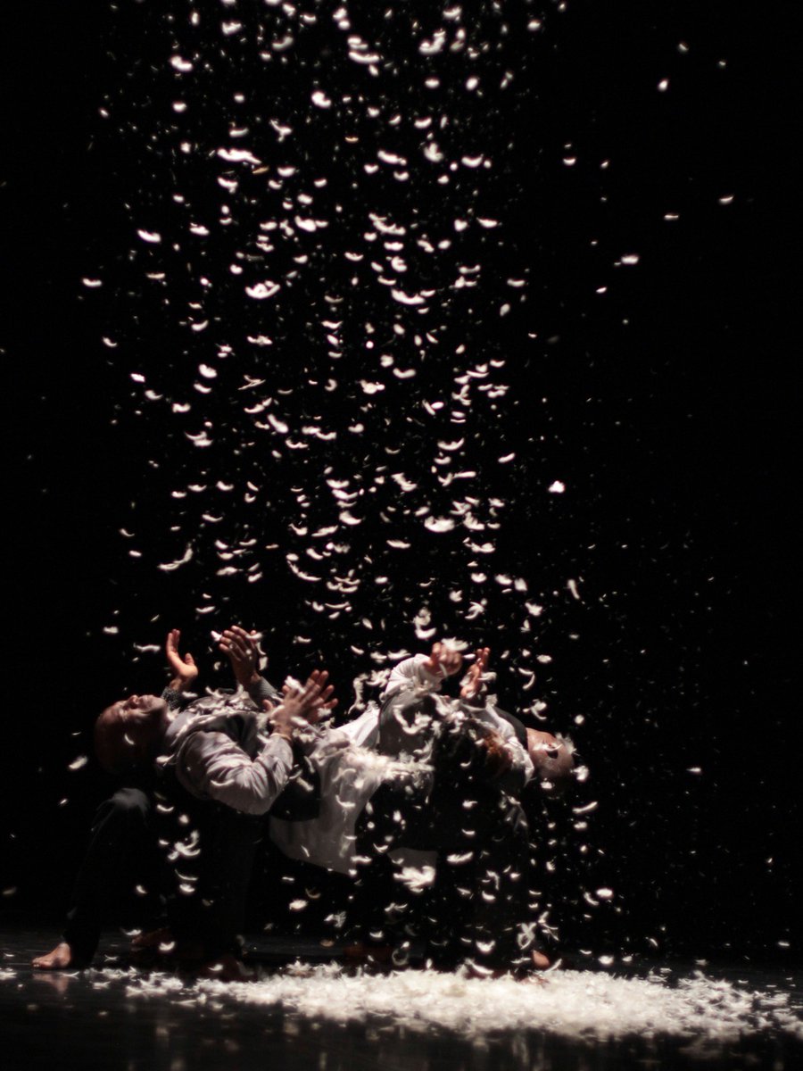 Johannesburg In Your Pocket 📚 tweet media