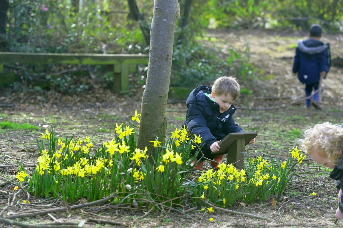 Brocklewood Primary (@brocklewoodp) on Twitter photo If you have been offered a school place for Brocklewood Primary School, please accept the place as soon as you can. Thank you! 😀 If you have been offered a school place for Brocklewood Primary School, please accept the place as soon as you can. Thank you! 😀