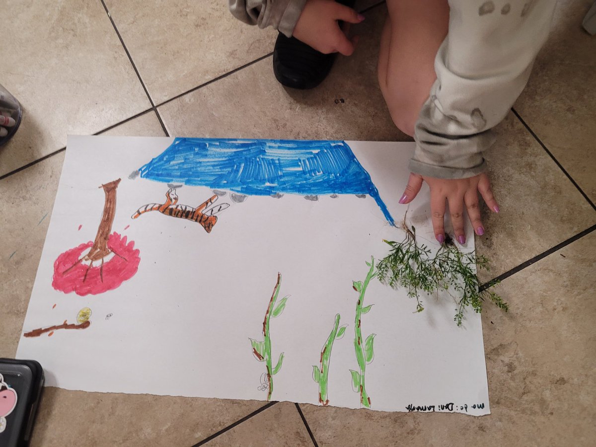 Samantha Glickstein tweet media