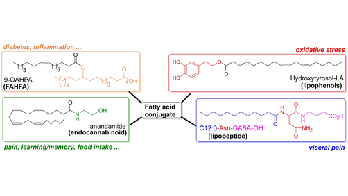 Review: Synthesis of Fatty Acid Bioconjugates and Related Derivatives by Laurence Balas and co-workers (<a href="/enscmchimiemtp/">enscm chimie mtp</a>, #IBMM) onlinelibrary.wiley.com/doi/10.1002/ej…