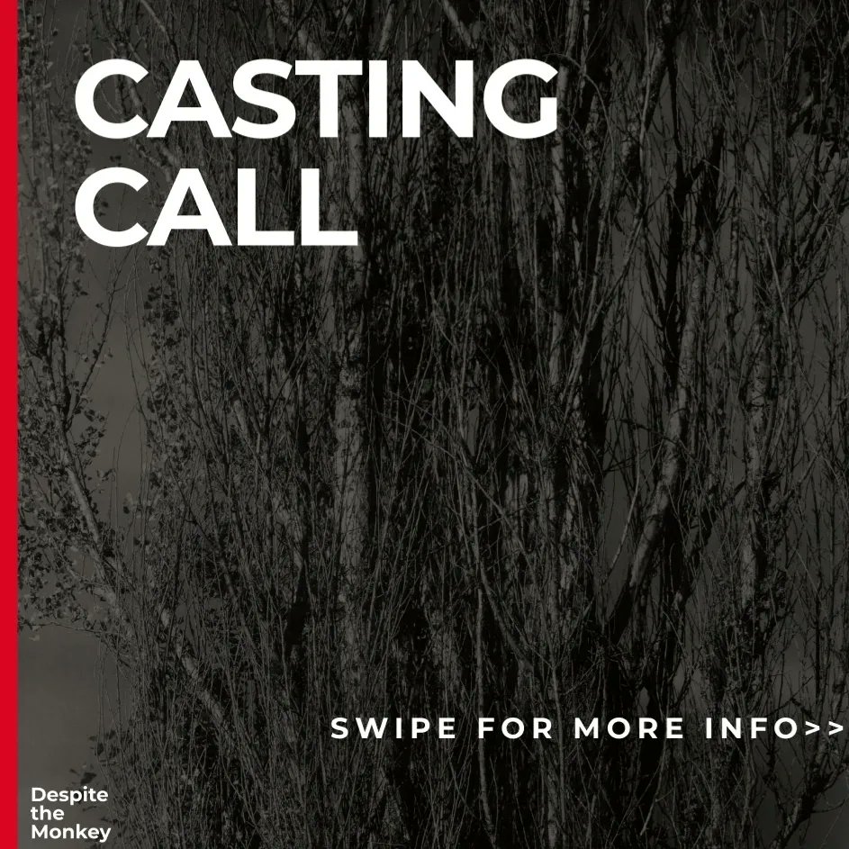 Despite The Monkey tweet media