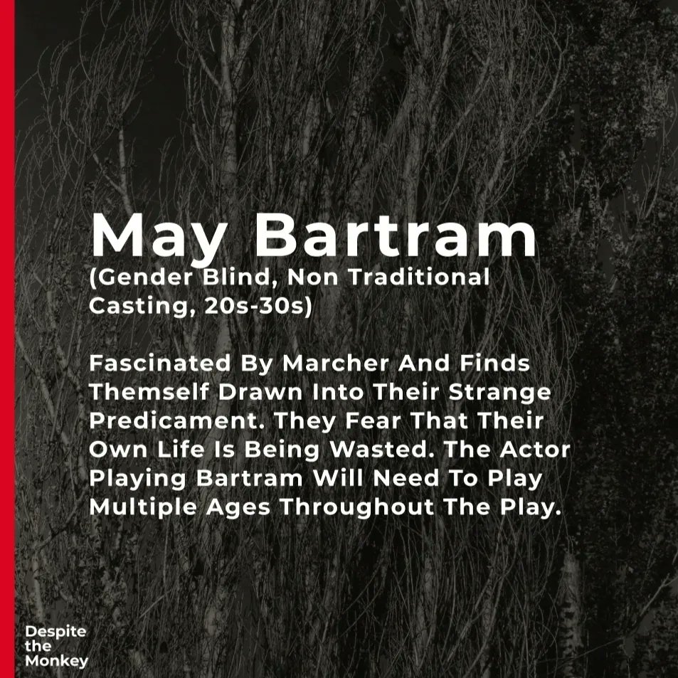 Despite The Monkey tweet media