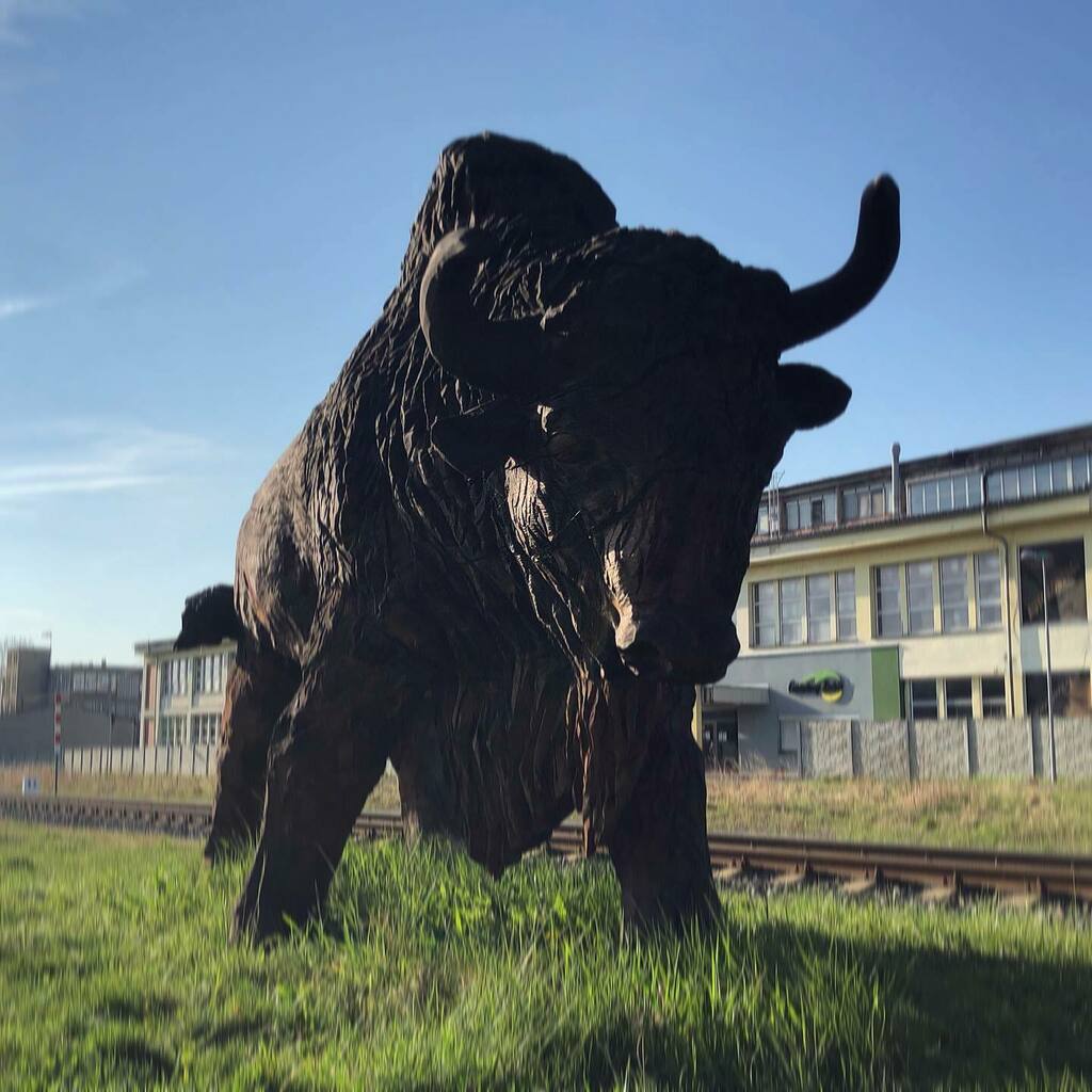 wonderczech's tweet photo. Welcome to Zubří, I will be your Zubr guide. (Zubr is kind of an europian bison like animal) #zubri #moravia #czechia #zubr #travel #iPhone8 https://t.co/WHhqGLfyBZ https://t.co/PWlIBxxOrO