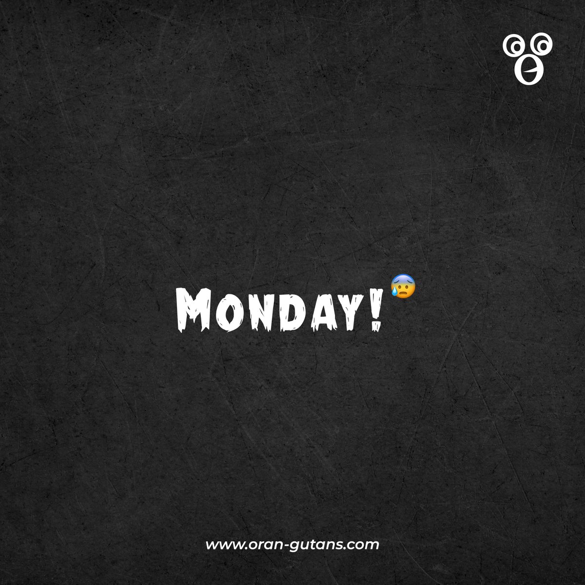 Orangutansllp's tweet photo. Sensitive Content 
.
.
.
Monday!
#orangutansllp #digitalmarketingagency #digitalmarketingexpert #googleads #facebookads #digitalmarketing #onlinebusiness #brand #monday https://t.co/6SA7lsjOpv