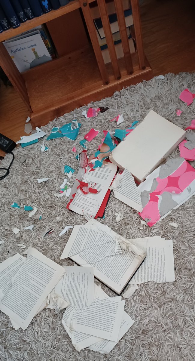 AnkiMaria🐶🫖🎶📖💜 tweet media