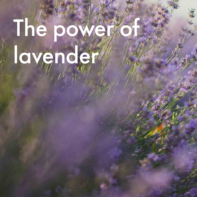 Givaudan's tweet photo. Givaudan’s botanical ingredients for relaxation unlock the best from nature – discover our Wellness Essentials botanicals and infusions, from traditional to trendy, inspiring calmness and harmony. https://t.co/VCJG8dgkaA
#GivaudanFoodExperiences #ImmunityAndRelaxation