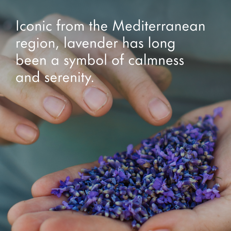 Givaudan's tweet photo. Givaudan’s botanical ingredients for relaxation unlock the best from nature – discover our Wellness Essentials botanicals and infusions, from traditional to trendy, inspiring calmness and harmony. https://t.co/VCJG8dgkaA
#GivaudanFoodExperiences #ImmunityAndRelaxation