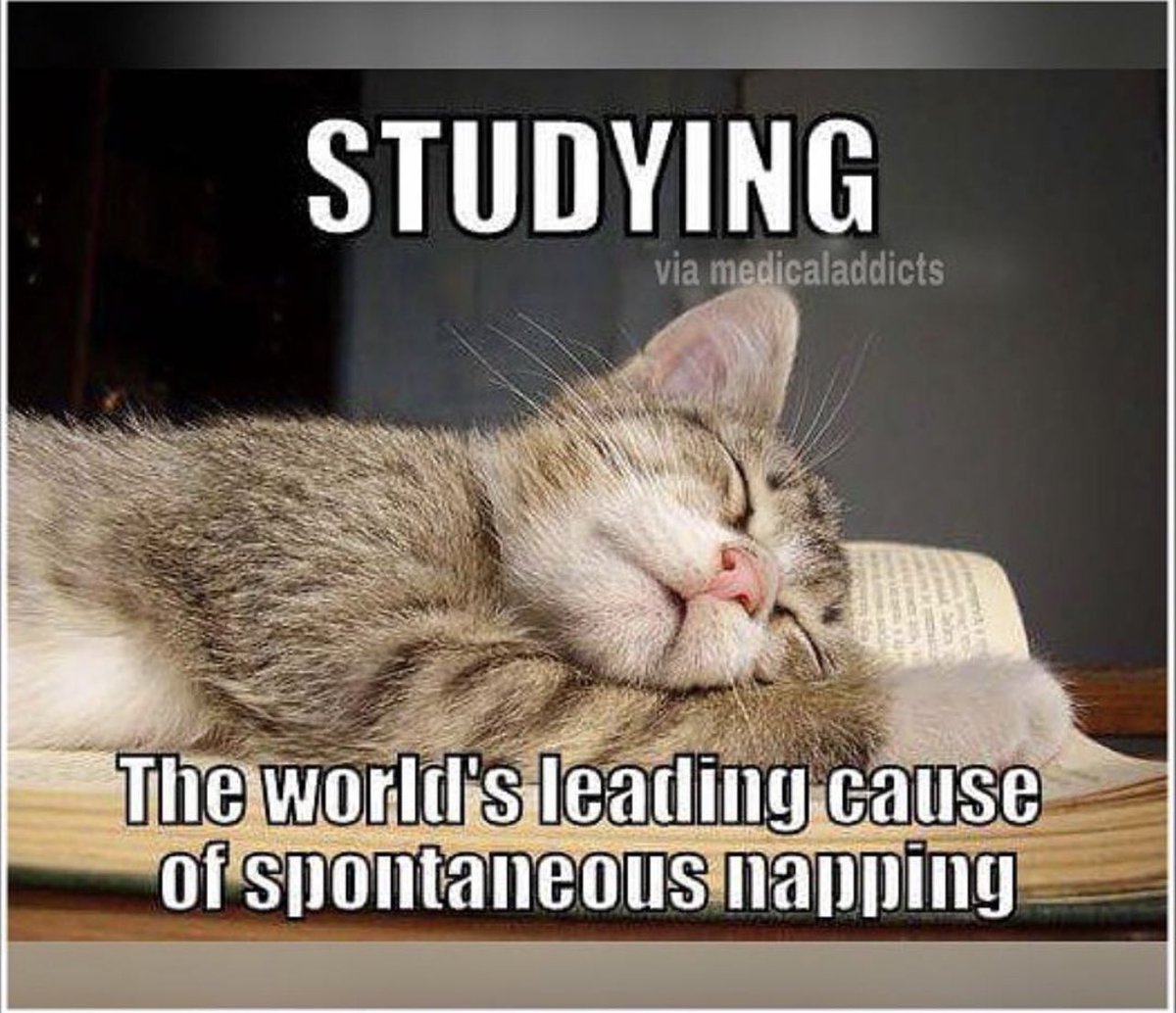 Presbyterian College Academic Success tweet media