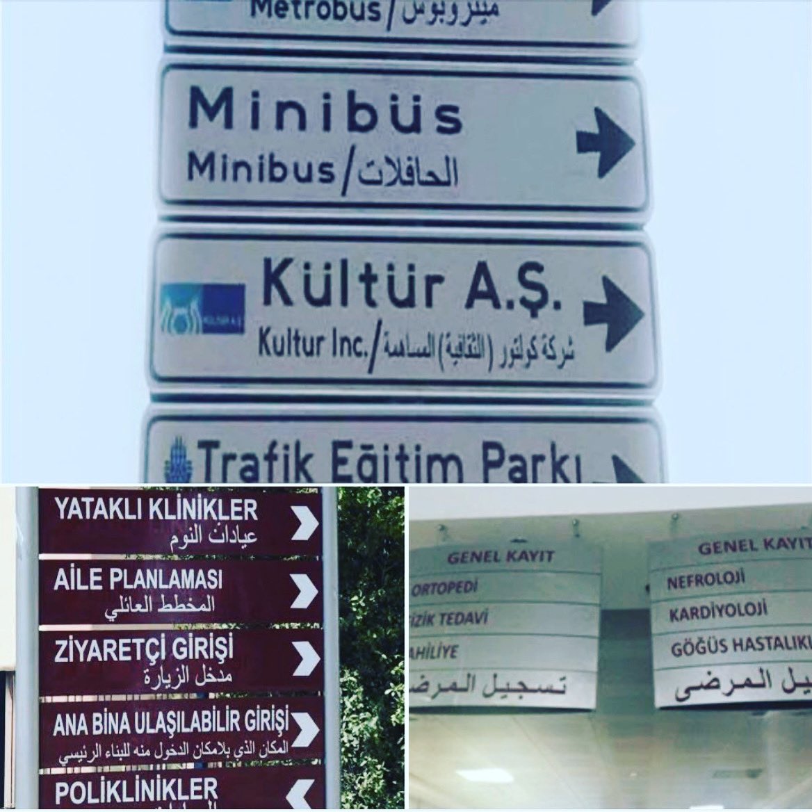 RONİ tweet media
