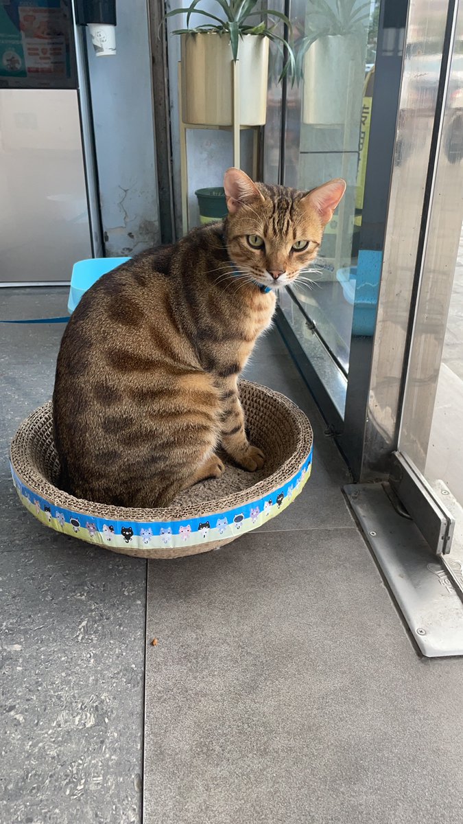 oorrange tweet media