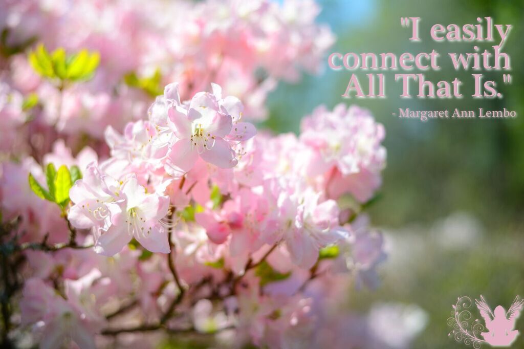 Spend time in #nature and in gentle #contemplation to reestablish your connection to #AllThatIs.
#meditation