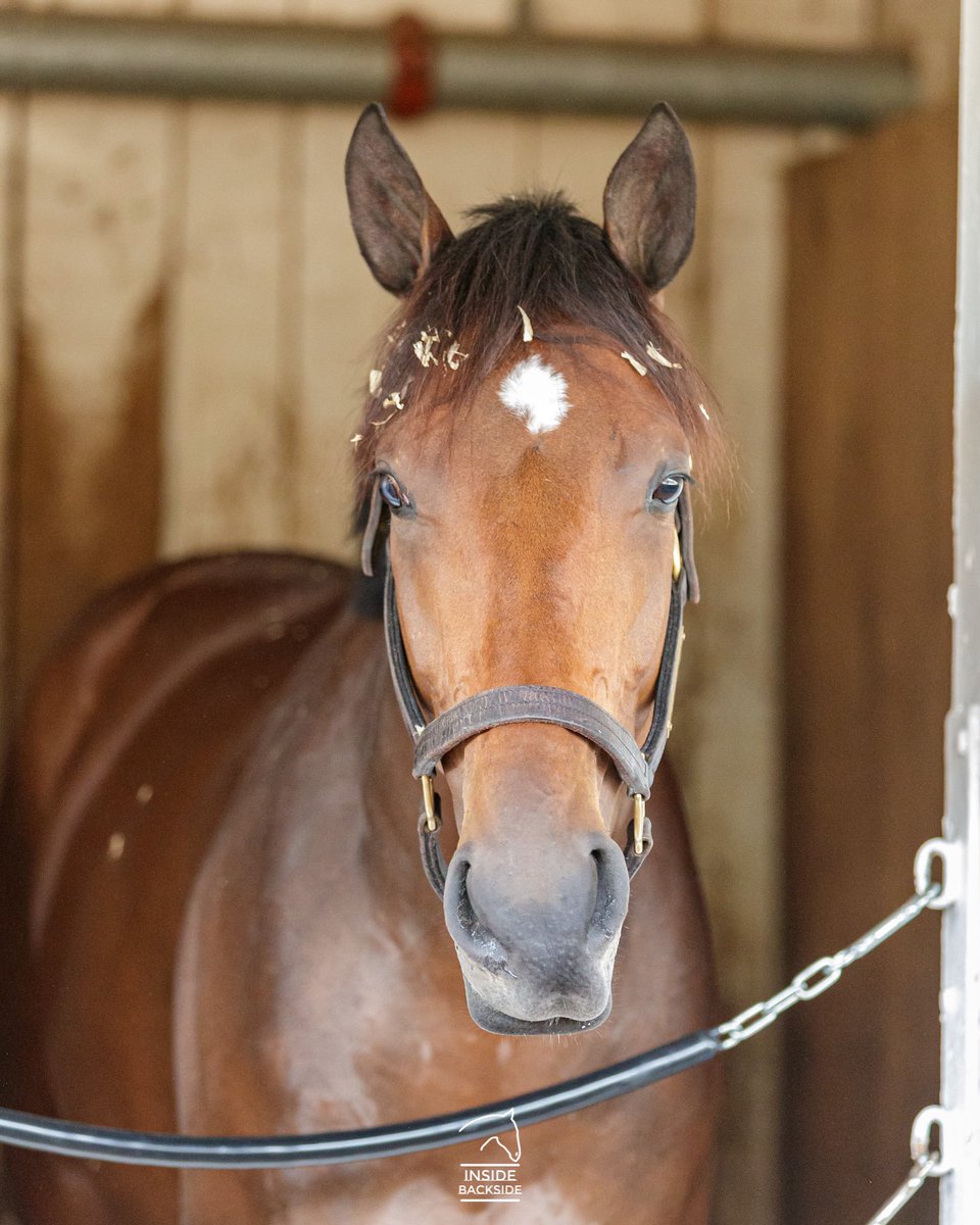 Mondays are for Mo 😍 #KyDerby #MoDonegal