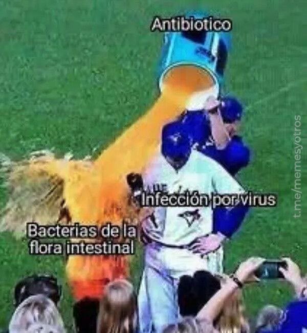 Las bacterias son microbios. Viven en el medioambiente y en todo el interior y exterior de nuestros cuerpos. La mayoría de las bacterias son inofensivas e incluso útiles para las personas, pero algunas pueden provocar infecciones, como la infección de

csgandhi.es/bacterias-viru…
