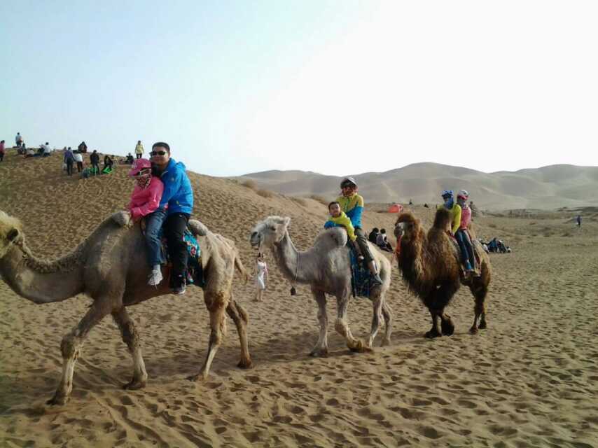 Zcy030809's tweet photo. pic1:Danxia landform in Changji
pic2:Desert in Shanshan
pic3:flatlands in Mount South
pic4: populus euphratica forest in Luntai
All in Xinjiang. People in the photos are my families and me.
Photos show the beauty but propaganda doesn't. https://t.co/Pujg2O1pce