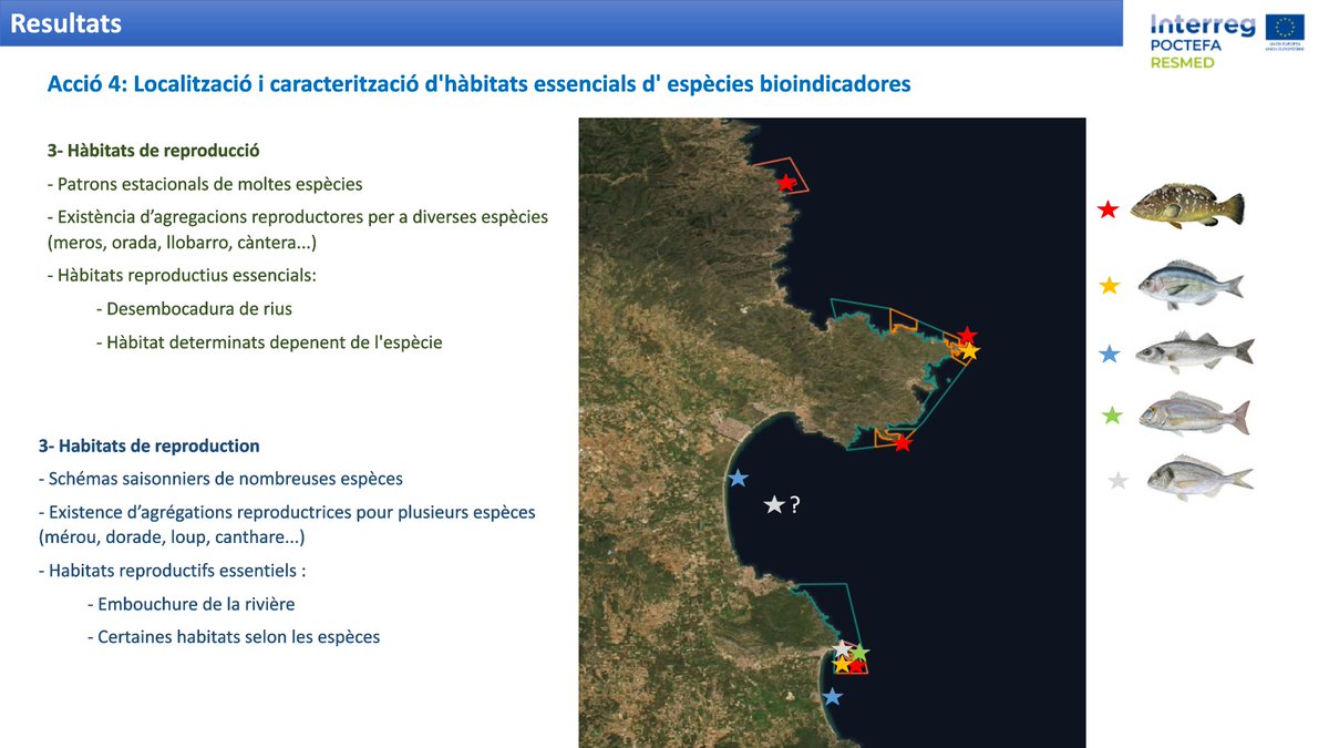 ResMed+ (@resmed4) on Twitter photo #RESULTATSRESMED Els resultats de l'estudi evidencien l’ús d'una gran varietat d’hàbitats per part de moltes espècies, així com una elevada connectivitat entre hàbitats i AMPs. Llegeix la informació completa a: facebook.com/resmedpoctefa <a href="/Med_Recover/">MedRecover</a> <a href="/UniBarcelona/">Universitat de Barcelona</a> <a href="/upvd1/">Université Perpignan</a> #RESULTATSRESMED Els resultats de l'estudi evidencien l’ús d'una gran varietat d’hàbitats per part de moltes espècies, així com una elevada connectivitat entre hàbitats i AMPs. Llegeix la informació completa a: facebook.com/resmedpoctefa <a href="/Med_Recover/">MedRecover</a> <a href="/UniBarcelona/">Universitat de Barcelona</a> <a href="/upvd1/">Université Perpignan</a>