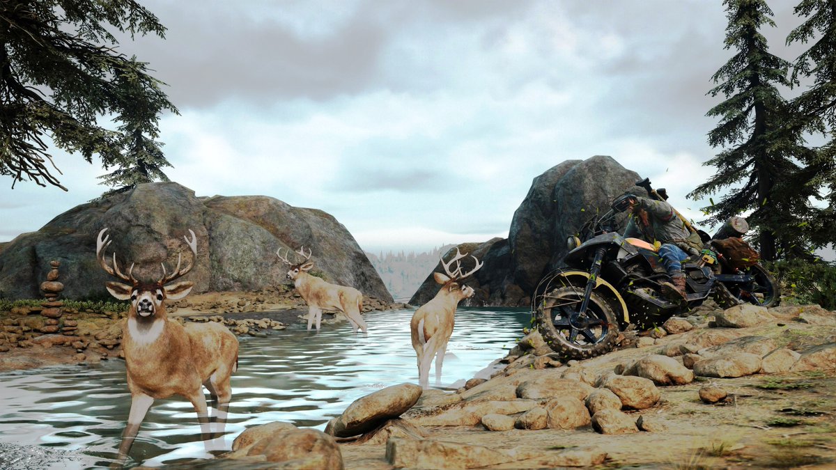 okiteneko's tweet photo. 【Every Days Gone】 Today's shot
#DaysGone #VirtualPhotography #PS4 #PS5  #PSPhotomode @BendStudio #デイズゴーン #PSBlog #PSshare #DaysGoneContest
PlayStation to approve Days Gone 2
https://t.co/SsvyCrGROx
#SamWitwer #Deacon https://t.co/GCIXJ7xz3q