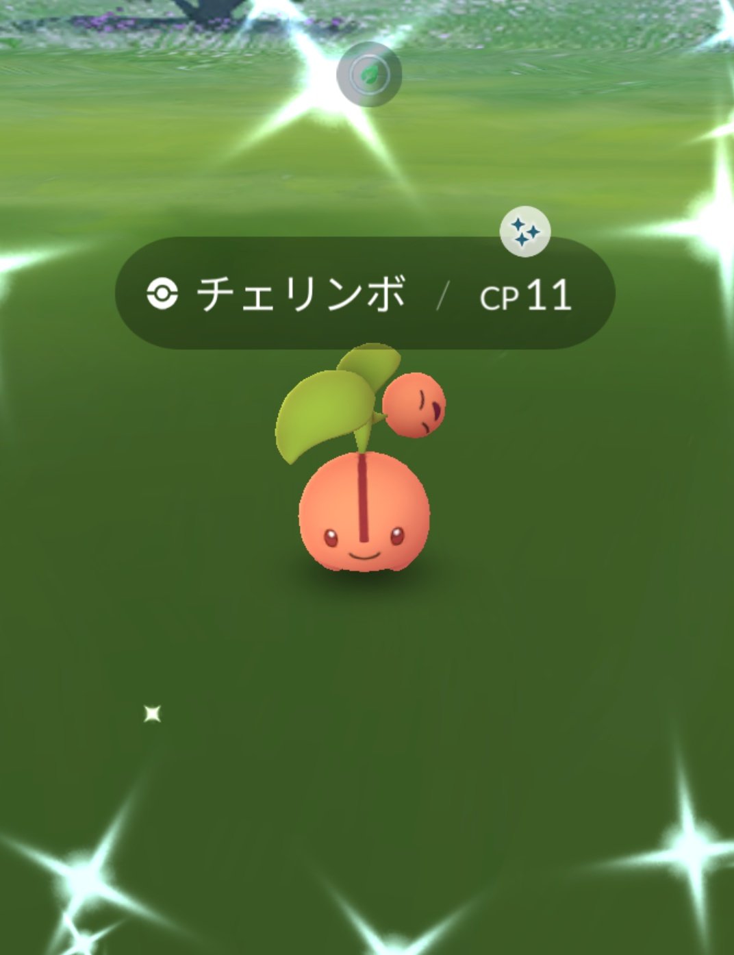 Momomomomomomo おおおちぇりんぼおおお 旬な色違いうれしい可愛すぎるる コミュデイ以外の色違い久しぶりー ポケモンgo チェリンボ 色違い T Co Banfrfibqb Twitter