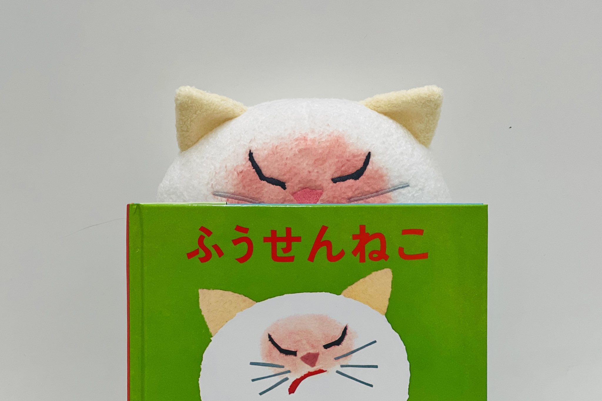 ぬいぐるみ neko 黒渕さんぬいぐるみ 51857006 | necobuchisan