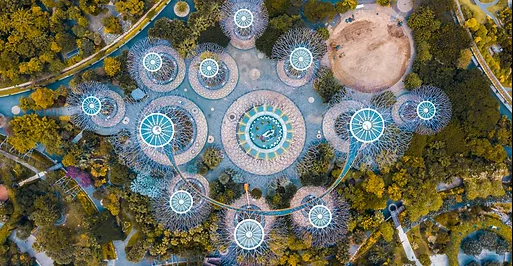 Schizzle 🌸 (R-O-G) tweet media