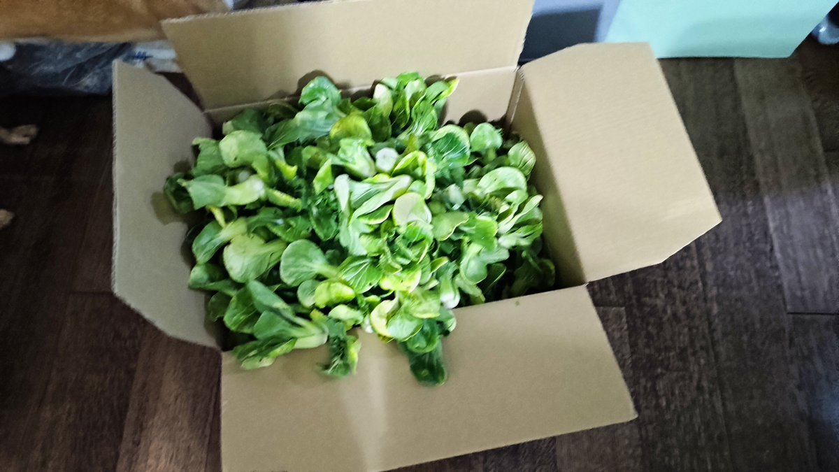 小区里朋友说给点青菜给我，让我下楼取一下，结果是一大箱小青菜，我咋吃的完，明天给楼栋邻居分分吧