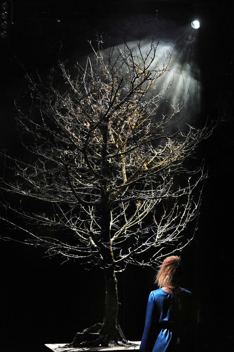 🌳🌲 #internationalertagdesbaumes #theaterakademie #theaterakademieaugusteverding #dieeverding
 
Szenenfoto aus „Golem schläft“
Regie-Projekt von Blanka Rádóczy
Spielzeit 2016/2017
Foto: Regine Heiland