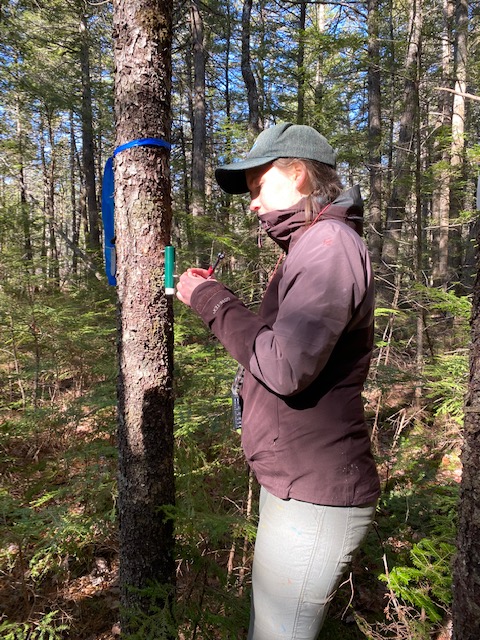 Wason Lab tweet media