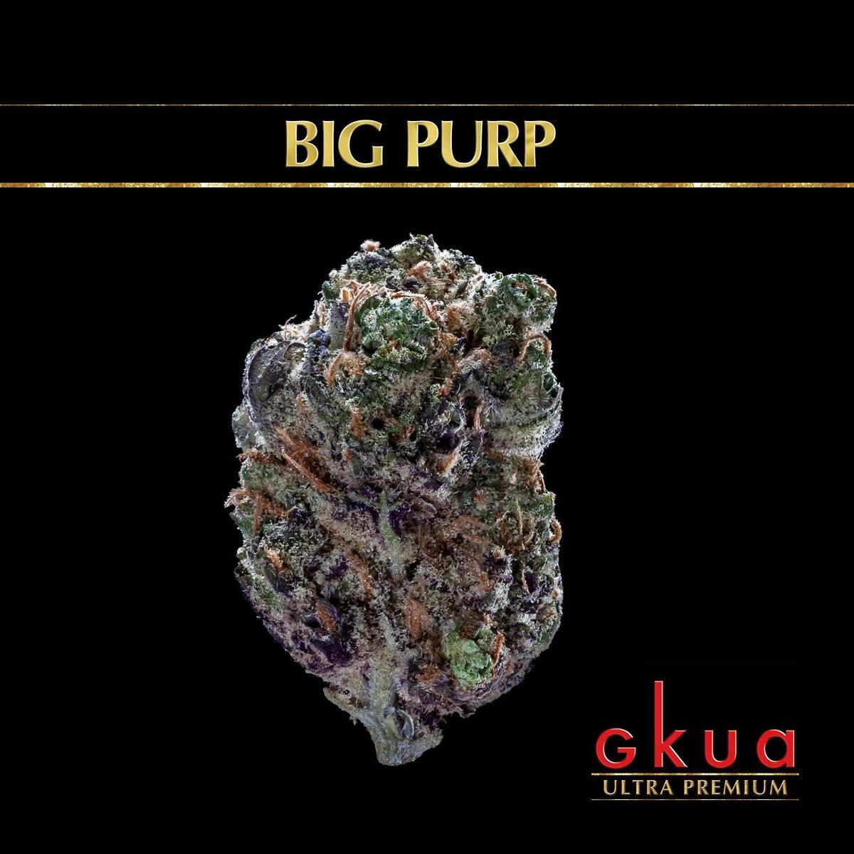 GkuaOfficial's tweet photo. Get #thatgkua #weezyweed 🔥💨 Find you #GKUA Official Dispensary on the Weezy Weed Finder ⚡️ link in bio https://t.co/NS6qVllFrC