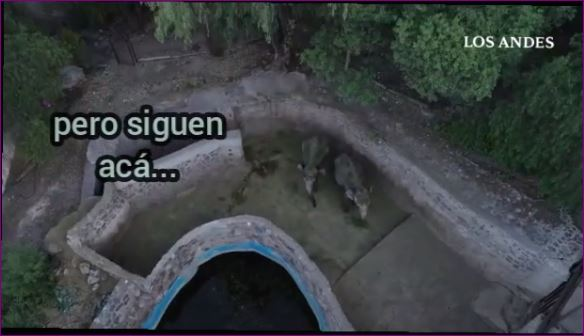 Gerturu's tweet photo. #Argentina Juan Cabandié @juancabandie
#VerguenzaNacional #verguenzamundial
✅#Libertad para #Pocha🐘 y #Guille🐘
✅#BastaYa de frenar los traslados
✅#BastaYa de tenerlos como rehenes
#LiberenAPocha ⛓️#LiberenAGuille⛓️
👇👇👇 #FIRMAelCITESYA‼️ https://t.co/jzFUIlPYvk