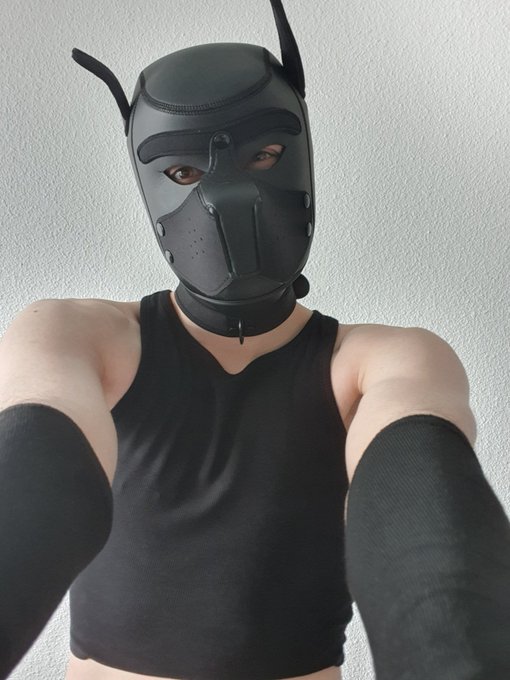 2 pic. First try on my new cloths ! \^w^/

(#gay #twink #pup #puppyplay #butt #booty #selfie #femboy)