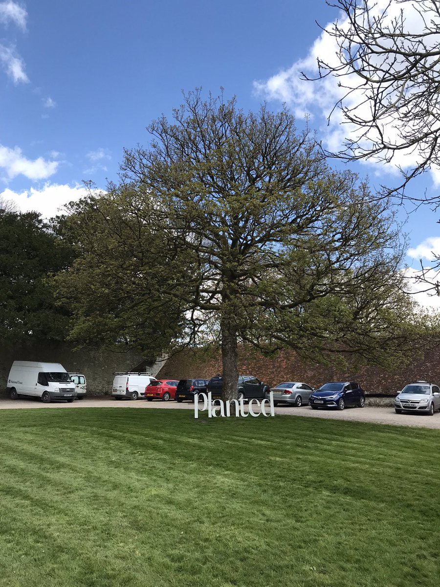 plantedtribe's tweet image. This is the beautiful stable yard space at @ntstourhead where our Natural Living and Botanical Market show sections will be in place this Saturday, Sunday and Monday. #designfornature