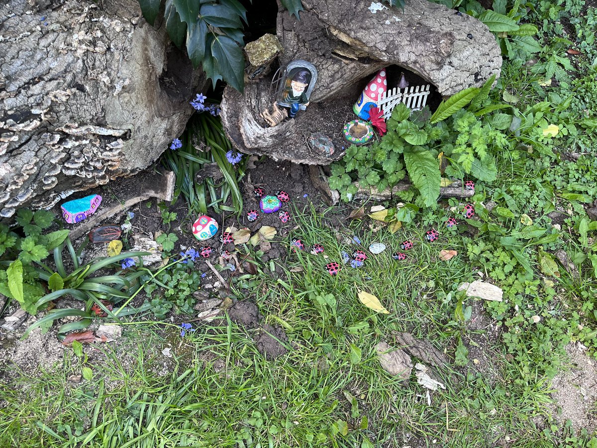 ArlingtonGarden (@arlingtongdnbs8) on Twitter photo The #fairies have been busy in the garden. Must be that time of year for a #ladybird conference. π§π»ββοΈπ§π»ββοΈπ§π»ββοΈ The #fairies have been busy in the garden. Must be that time of year for a #ladybird conference. π§π»ββοΈπ§π»ββοΈπ§π»ββοΈ