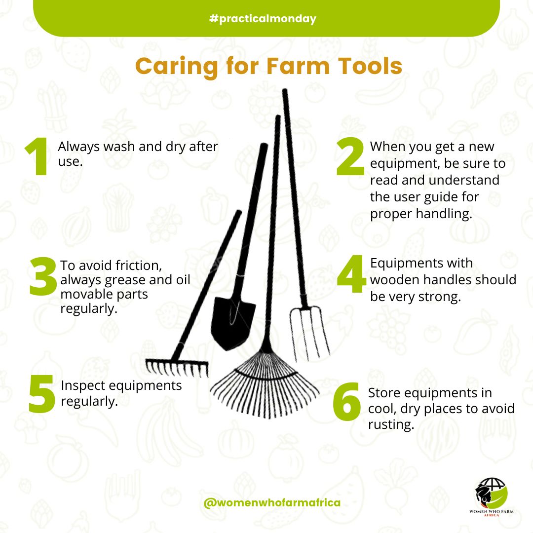 Womenwhofarmaf1's tweet photo. #practicalmonday
It’s one thing to know how to use different farm tools, it’s another to know how to store and prolong their lifespan. Different farm tools have their unique way of storage. Check the content!
#women #womenwhofarmafrica #agriculture #africa #farming https://t.co/9FI8lGv5EI