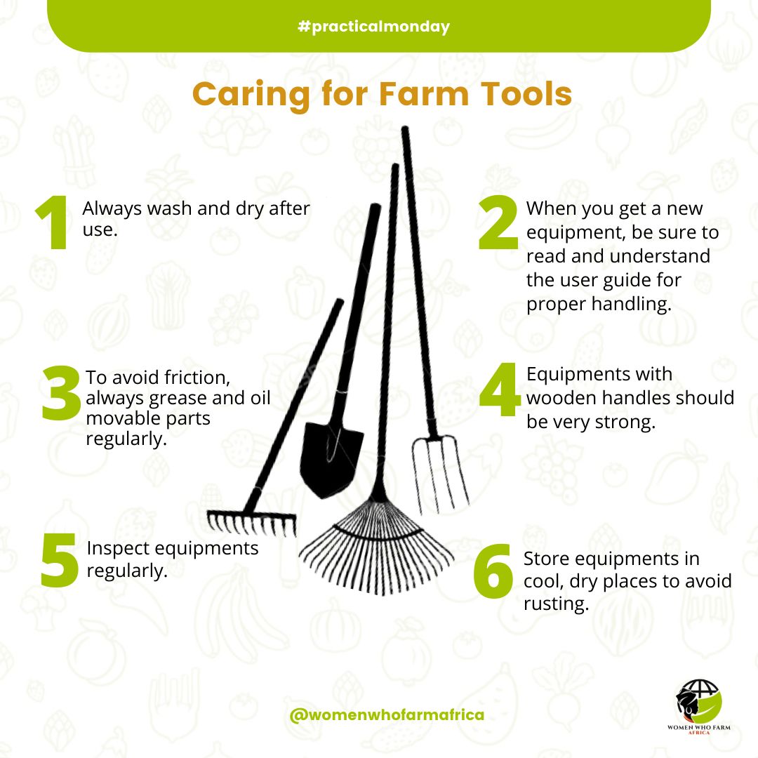 #practicalmonday It’s one thing to know how to use different farm tools, it’s another to know how to store and prolong their lifespan. Different farm tools have their unique way of storage. Check the content! #women #womenwhofarmafrica #agriculture #africa #farming