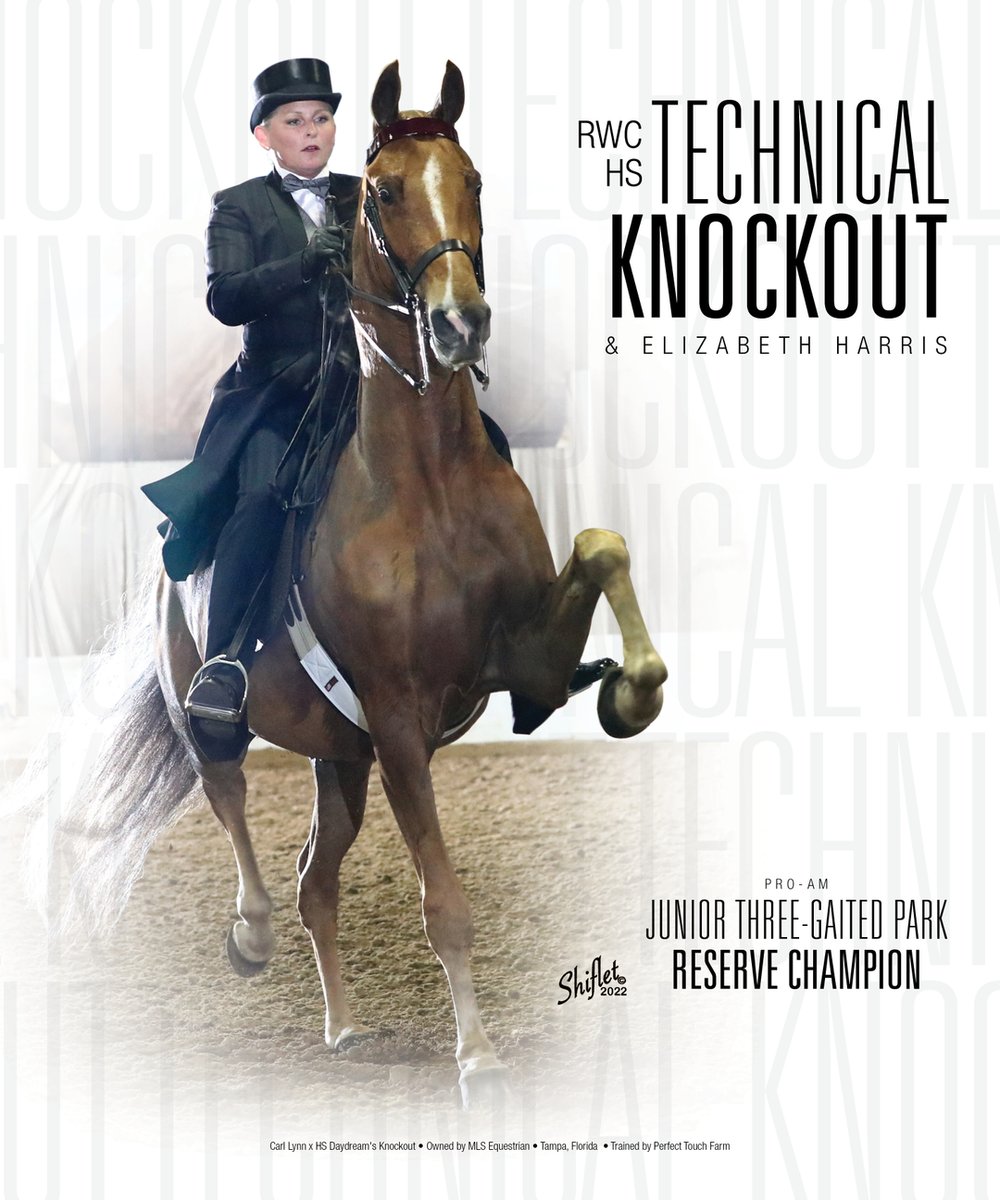 TNH1865's tweet photo. HS Technical Knockout & Elizabeth Harris: Pro-Am Junior 3-Gaited Park Reserve Champion
#nationalhorseman #proam @elizabethharris7 #mlsequestrian #perfecttouchfarm #3gaitedpark #saddlebred https://t.co/jj8nImKxq1