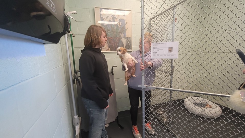 Friday 4/22 RMS Job Shadow Day 2022!!!! Thank you to Transylvania Animal Shelter for allowing  our students to job shadow