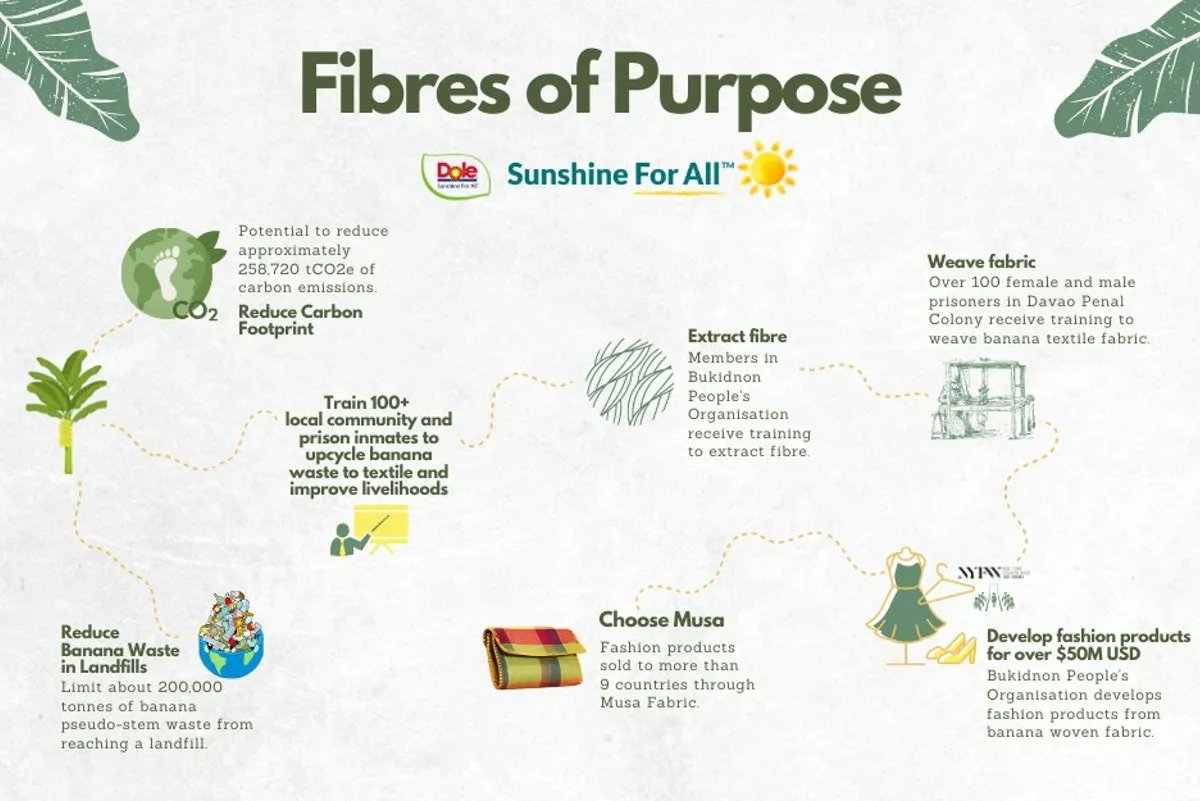 Momentum (BuildMomentum.io) tweet media