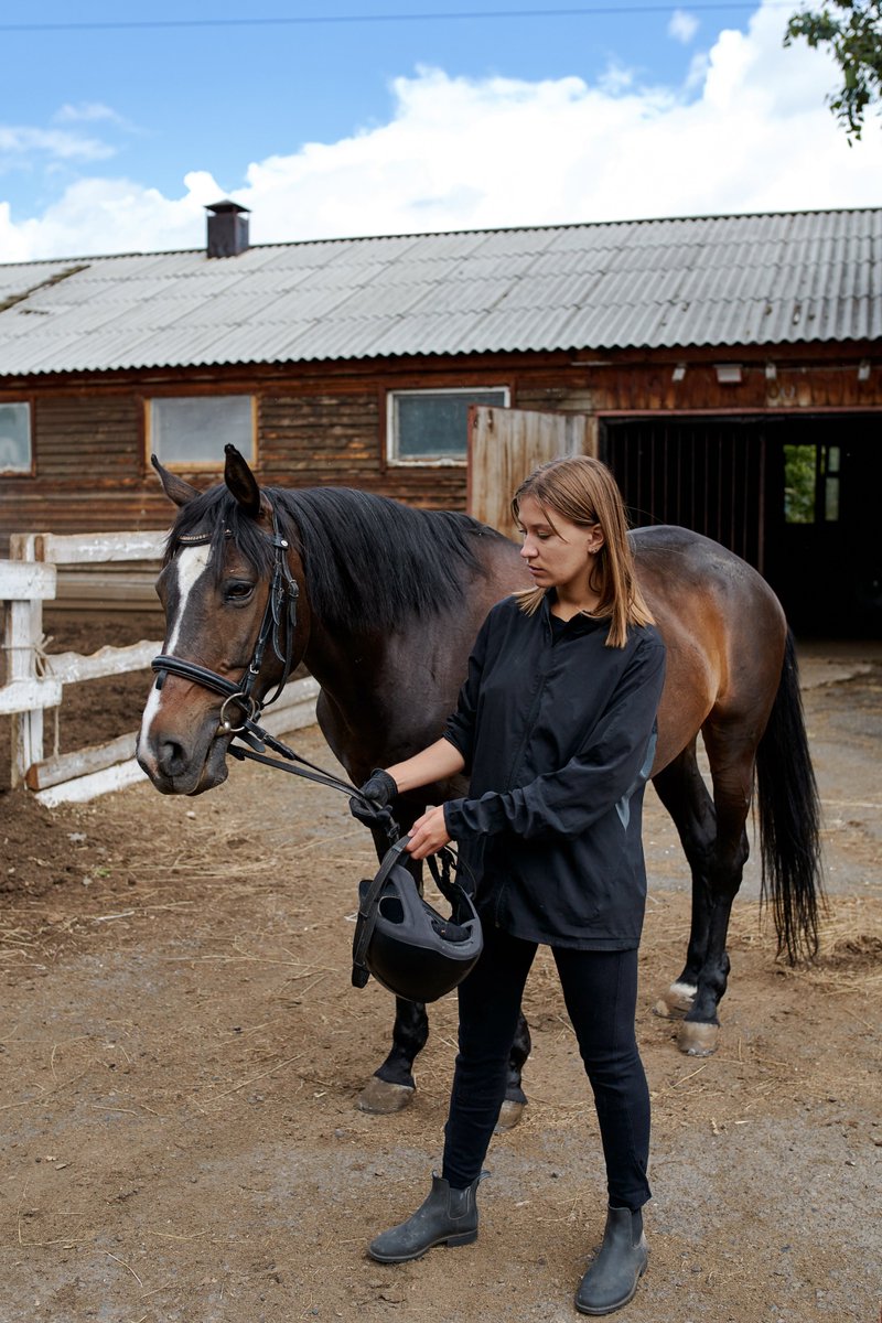 AspenGoldBed's tweet photo. How to effectively use your reins:
https://t.co/QEhUKuuuuw https://t.co/QuyMf4ZCO5