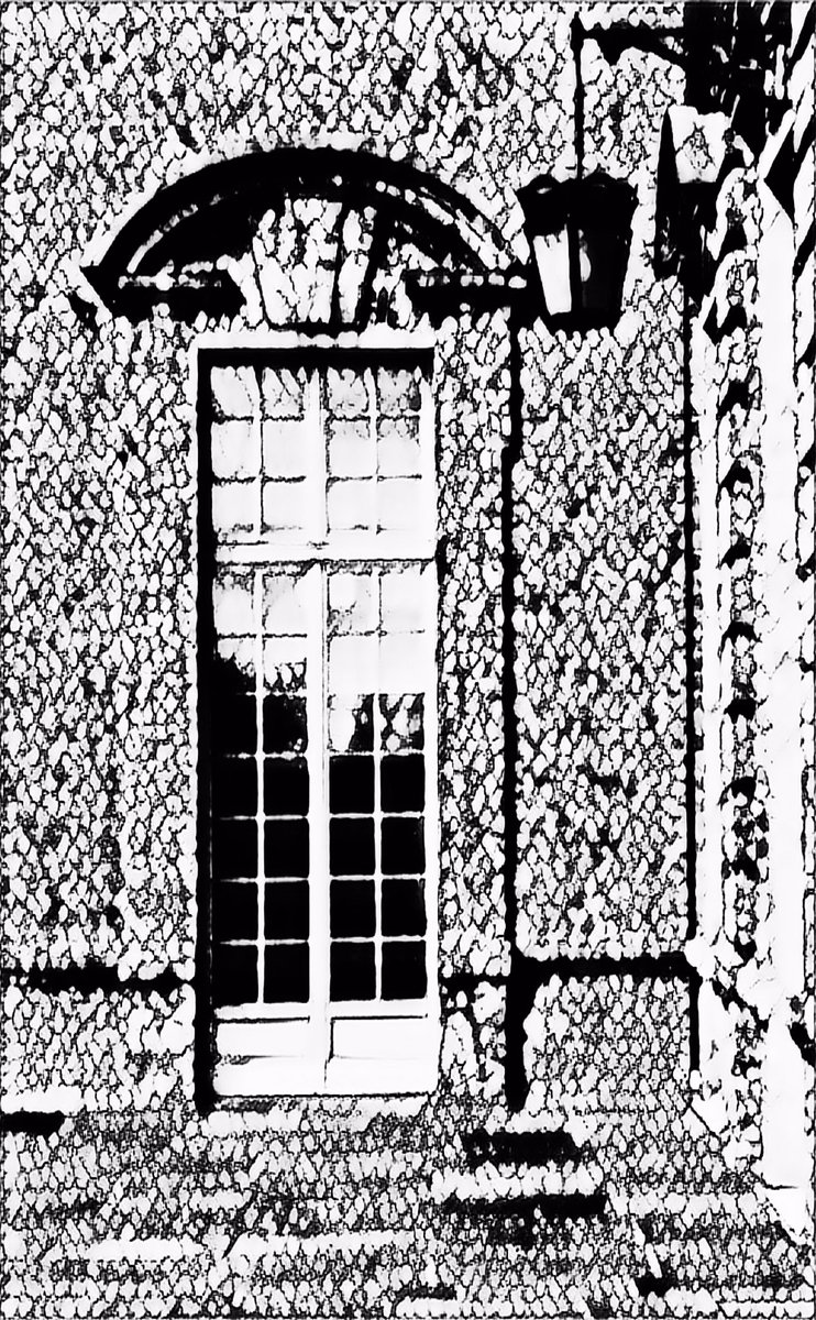 Fioria NFT (@fioranelcuore) on Twitter photo 