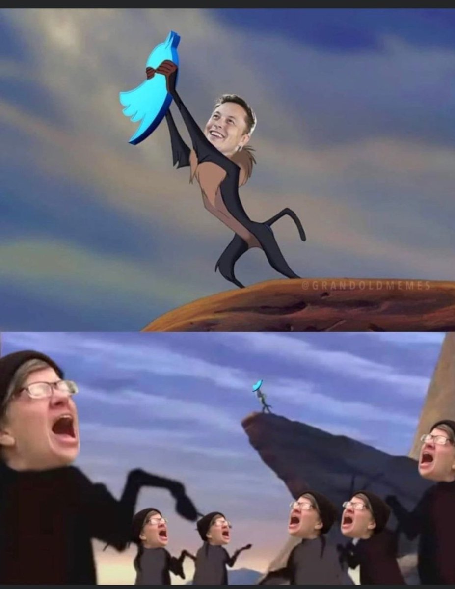 McduffieXrp's tweet image. 