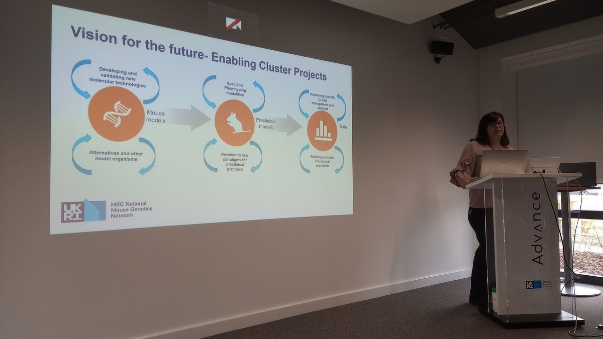 MRCMouseNetwork's tweet photo. This morning, we've had presentations from Network Director @owen_sansom, Mary Lyon Centre @MRCHarwell Director @WellsSara, Cancer cluster lead @kblyth1, and Jethro Johnson from the Microbiome cluster
#CollaborateToTranslate https://t.co/gMtAlGnB5p