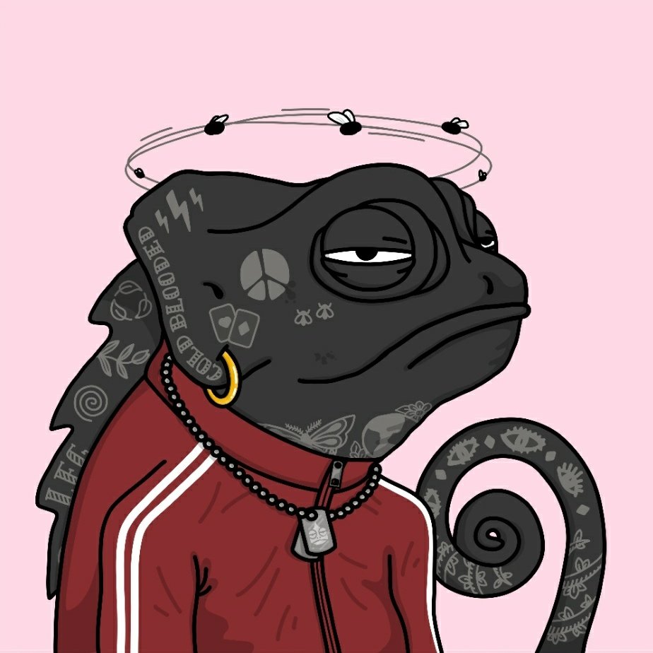 krypto_vagabond's tweet photo. All we have to do is make it through today y'all, then it's the @KarmeleonsNFT time to shine!
For the last month or so I've looked forward to #Krewsday and seeing all the lizards come out and chill as well as other #Krews. It's all good vibes & welcoming af!
Eddy approves! 🦎💚🌳 https://t.co/8eV8kap1LL
