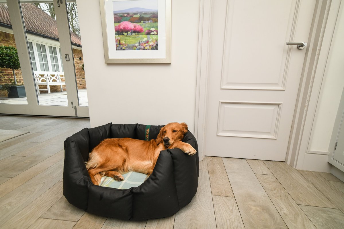 tuffiesdogbeds's tweet image. All of our nests are now available with highland cushion covers as standard which is perfect for warm dogs and summer days. tuffies.co.uk/item/645/Nest-…
#tuffies #tuffiesdogbeds #bestdogbeds #waterproofdogbeds #madeinscotland