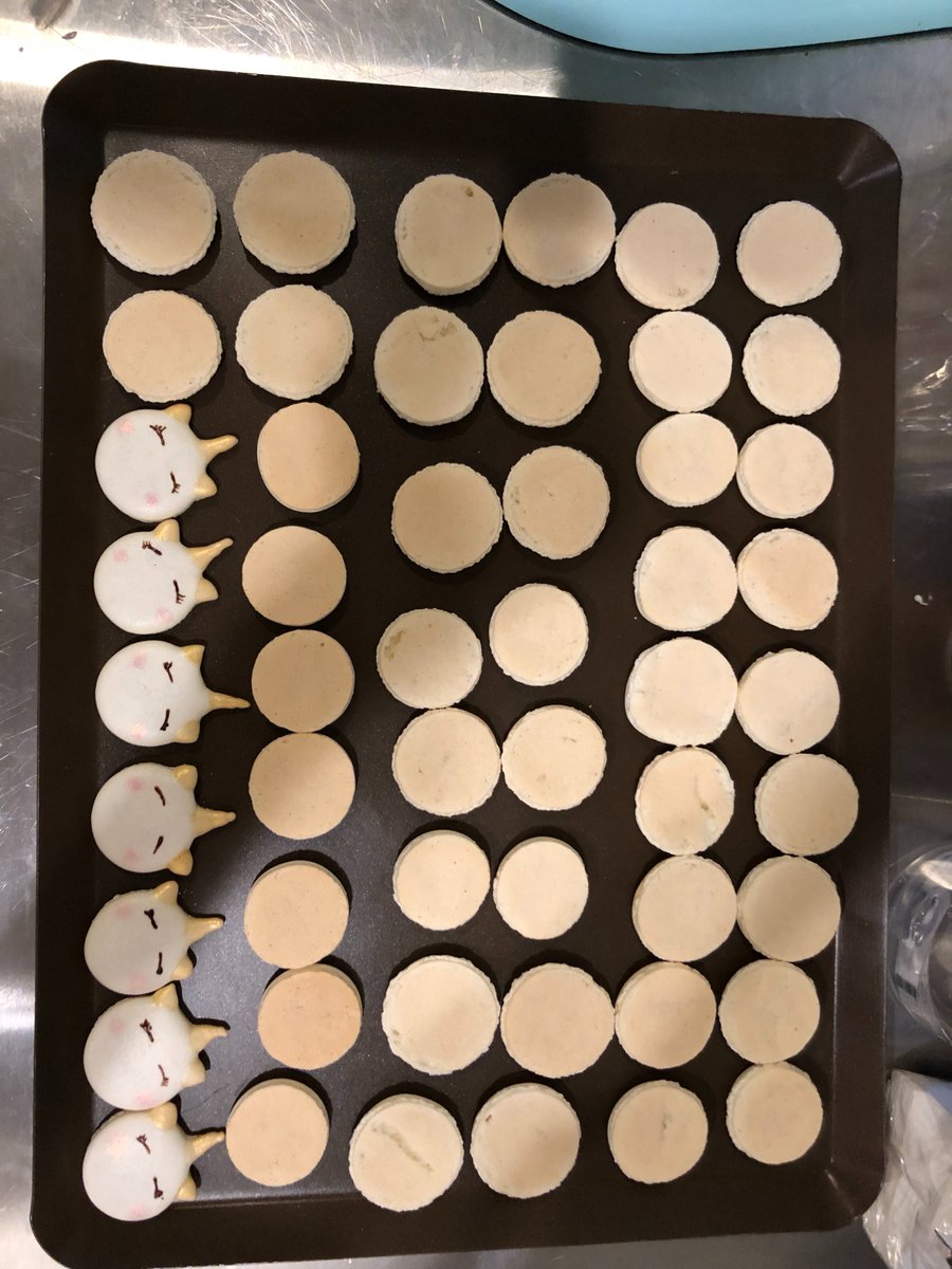 pineappletyc's tweet photo. @GENESIS_SENSHI #GENE_SIS 
discord: 錢錢來$$$#2341
Baking desserts is one of my hobby. :)
Enjoy my 🦄️macaroons https://t.co/H3feyAU0K3