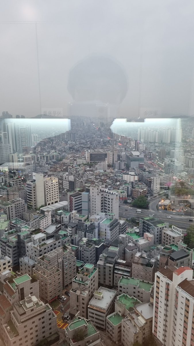 라와디돌고래 tweet media