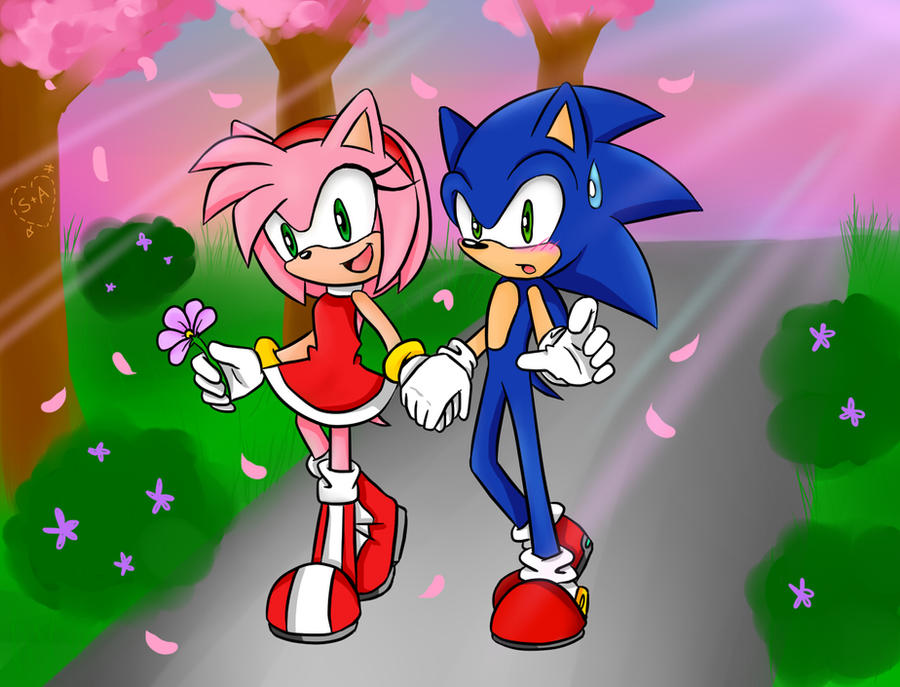 Sonic Boom SonAmy by Dani, Sonic Boom