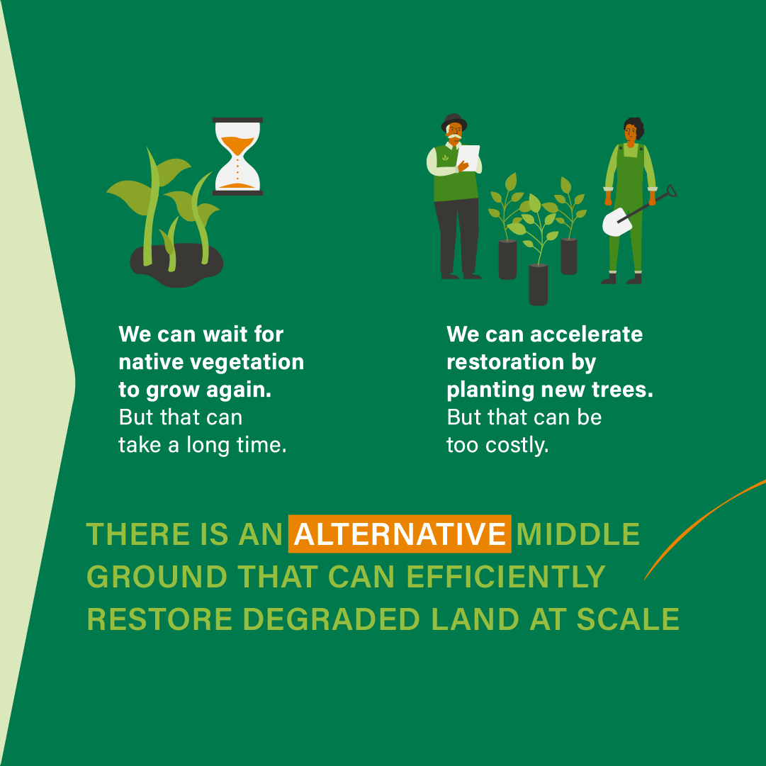 AniDasguptaWRI's tweet photo. Nature already has the power to recover on its own, but we can #InvestInOurPlanet and speed up the process.
#AssistedNaturalRegeneration can help restore land at less than ⅓ of the cost of tree planting, and Brazil has already seen its success: https://t.co/MZojiXDqSC https://t.co/g3hKr7RQUf