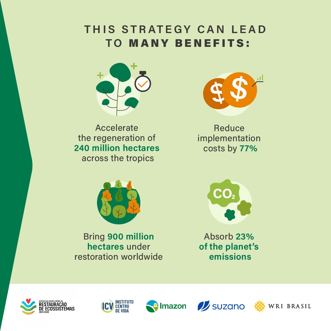 AniDasguptaWRI's tweet photo. Nature already has the power to recover on its own, but we can #InvestInOurPlanet and speed up the process.
#AssistedNaturalRegeneration can help restore land at less than ⅓ of the cost of tree planting, and Brazil has already seen its success: https://t.co/MZojiXDqSC https://t.co/g3hKr7RQUf